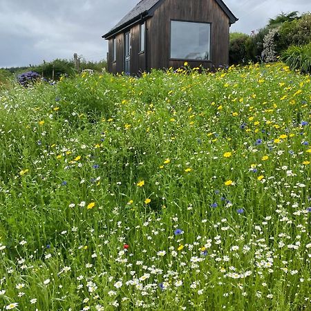 Elfin Cottage بورتري المظهر الخارجي الصورة
